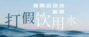 打假维权饮用水赔付玩法，一单收益上千【详细视频玩法教程】【仅揭秘】-创客云联盟