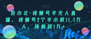 言小北·视频号半无人直播，视频号2个半小时11.7万人，纯利润1万+-创客云联盟
