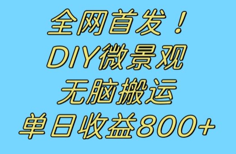 全网首发冷门赛道！DIY微景观，无脑搬运视频，日收益800+【揭秘】-创客云联盟