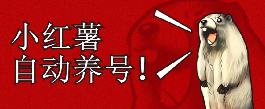 小红书养号秘籍，如何自动涨粉清晰系统标签打造高权重账号【揭秘】-创客云联盟