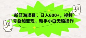 新蓝海项目，日入600+，视频号叠加变现，新手小白无脑操作【揭秘】-创客云联盟
