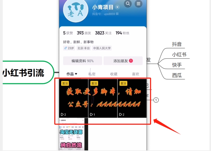 20240102095447-6593dd67e8ed4