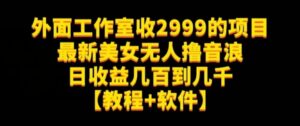 外面工作室收2999的项目最新美女无人撸音浪日收益几百到几千【教程+软件】（仅揭秘）-创客云联盟