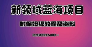 虚拟资源蓝海领域新项目,轻松日入800+,附保姆级教程及资料-创客云联盟