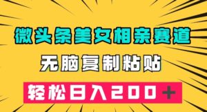 微头条冷门美女相亲赛道，无脑复制粘贴，轻松日入200＋【揭秘】-创客云联盟