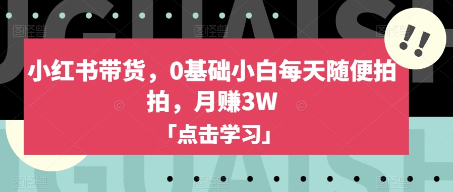 小红书带货，0基础小白每天随便拍拍，月赚3W【揭秘】-创客云联盟