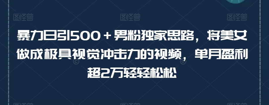 暴力日引500＋男粉独家思路，将美女做成极具视觉冲击力的视频，单月盈利超2万轻轻松松-创客云联盟