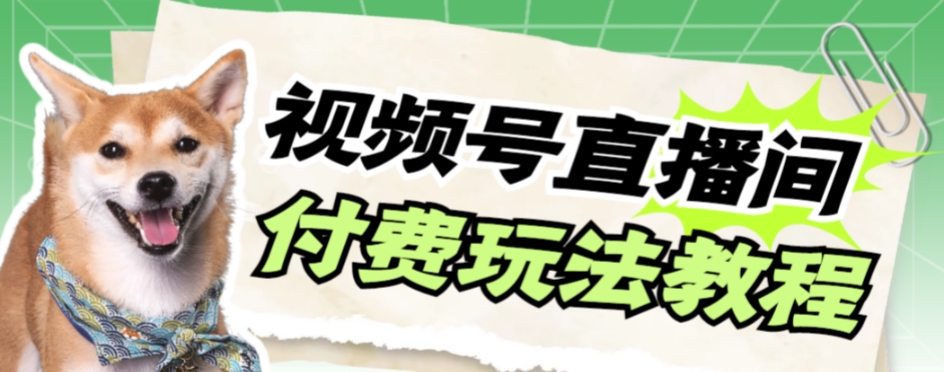 视频号美女付费无人直播，轻松日入500+【详细玩法教程】-创客云联盟