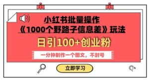 小红书批量操作《1000个野路子信息差》玩法，一分钟制作一个图文，不封号，日引100+创业粉-创客云联盟