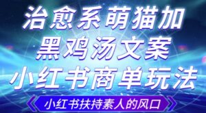 治愈系萌猫加+黑鸡汤文案，小红书商单玩法，3~10天涨到1000粉，一单200左右-创客云联盟