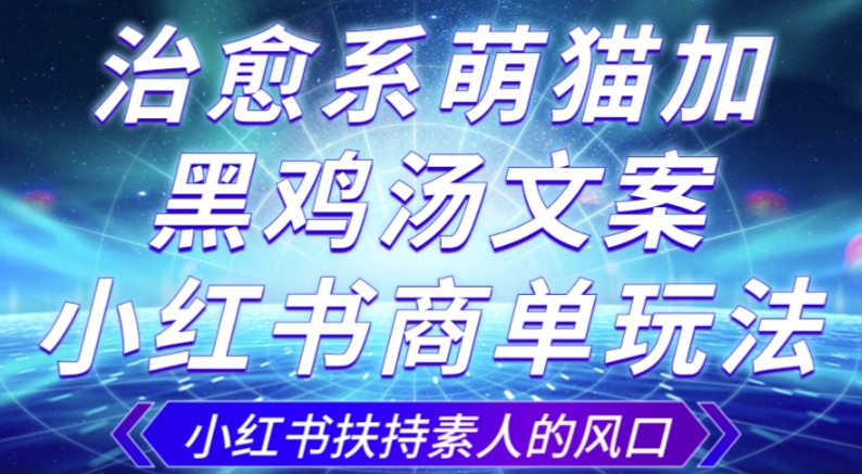治愈系萌猫加+黑鸡汤文案，小红书商单玩法，3~10天涨到1000粉，一单200左右-创客云联盟