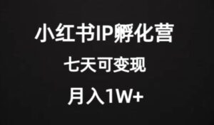 价值2000+的小红书IP孵化营项目，超级大蓝海，七天即可开始变现，稳定月入1W+-创客云联盟