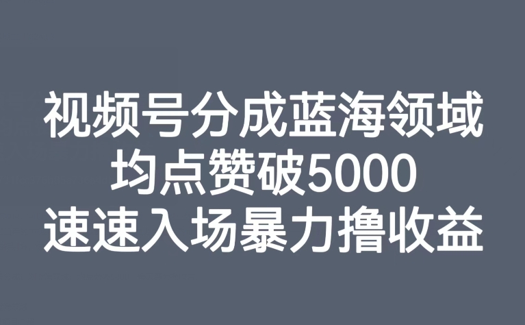 视频号分成蓝海领域，均点赞破5000，速速入场暴力撸收益-创客云联盟