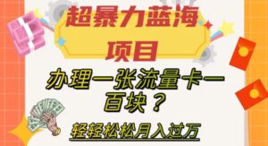 超暴力蓝海项目，办理一张流量卡一百块？轻轻松松月入过万，保姆级教程【揭秘】-创客云联盟