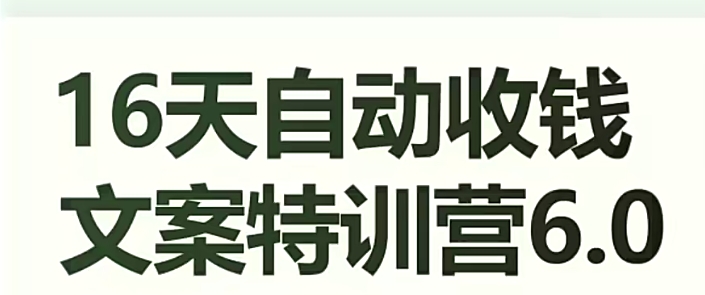 16天自动收钱文案特训营6.0，学会儿每天自动咔咔收钱-创客云联盟