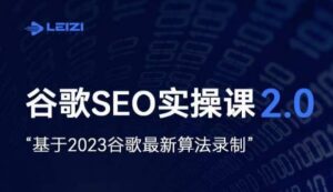 雷子·谷歌SEO 2.0实战课，独立站询盘自由必备，基于2023谷歌最新算法录制-创客云联盟