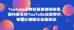 Youtube金牌运营直播训练营,国内最系统YouTuBe运营教学,掌握长期稳定流量密码-创客云联盟
