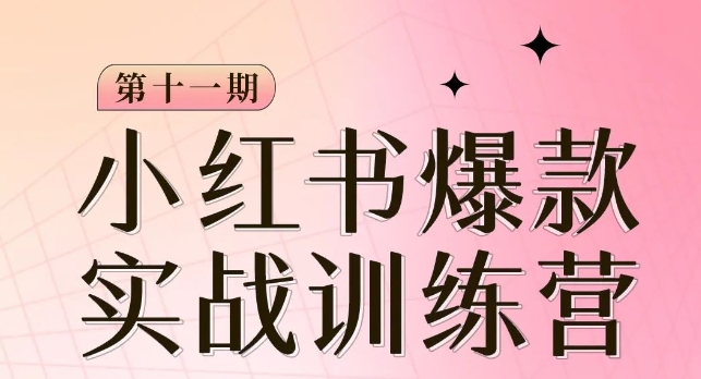 小红书博主爆款训练营第11期，手把手教你从0-1做小红书，从定位到起号到变现-创客云联盟