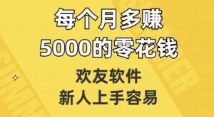欢友软件，新人上手容易，每个月多赚5000的零花钱【揭秘】-创客云联盟