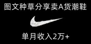 靠图文种草分享卖A货潮鞋，每天一小时，单月收入2万+【揭秘】-创客云联盟