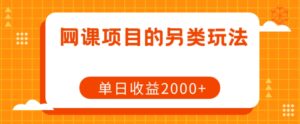 网课项目的另类玩法，单日收益2000+【揭秘】-创客云联盟