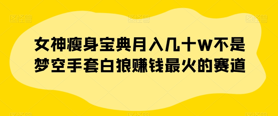 女神瘦身宝典月入几十W不是梦空手套白狼赚钱最火的赛道【揭秘】-创客云联盟
