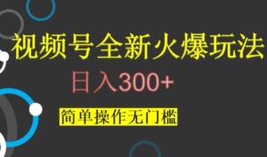 视频号最新爆火玩法，日入300+，简单操作无门槛【揭秘】-创客云联盟