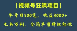 日收款500笔，纯利润3000+，视频号狂飙项目，会简单剪辑就能做【揭秘】-创客云联盟