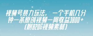 视频号暴力玩法，一个手机几分钟一条原创视频一周收益3800+（附820G视频素材）-创客云联盟