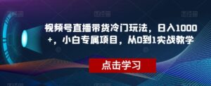 视频号直播带货冷门玩法,日入1000+,小白专属项目,从0到1实战教学【揭秘】-创客云联盟