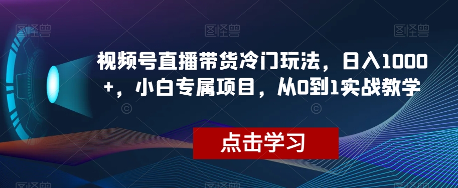 视频号直播带货冷门玩法，日入1000+，小白专属项目，从0到1实战教学【揭秘】-创客云联盟