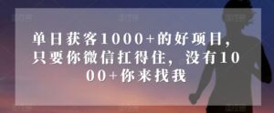 单日获客1000+的好项目,只要你微信扛得住,没有1000+你来找我【揭秘】-创客云联盟