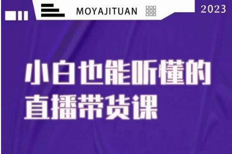 大威本威·能听懂的直播带货课，小白也能听懂，20节完整-创客云联盟