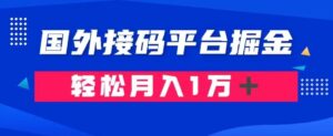 通过国外接码平台掘金：成本1.3，利润10＋，轻松月入1万＋【揭秘】-创客云联盟