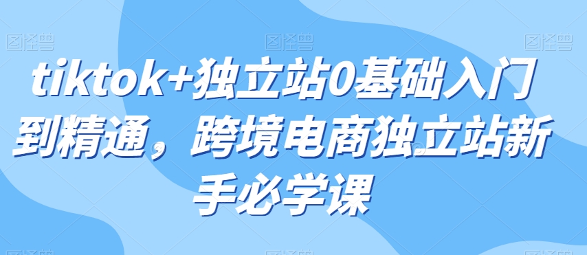 tiktok+独立站0基础入门到精通，跨境电商独立站新手必学课-创客云联盟