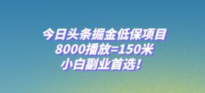 今日头条掘金低保项目,8000播放=150米,小白副业首选【揭秘】-创客云联盟