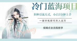 冷门蓝海项目，操作简单，小白3分钟上手，多种引流方式，保姆式全流程教学【揭秘】-创客云联盟