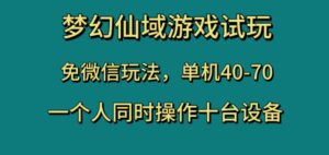 梦幻仙域游戏试玩,免微信玩法,单机40-70,一个人同时操作十台设备【揭秘】-创客云联盟