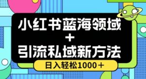 小红书蓝海虚拟＋引流私域新方法，100%不限流，日入轻松1000＋，小白无脑操作【揭秘】-创客云联盟