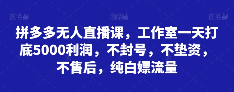 拼多多无人直播课，工作室一天打底5000利润，不封号，不垫资，不售后，纯白嫖流量-创客云联盟