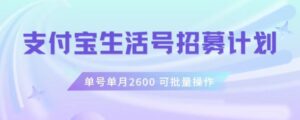 支付宝生活号作者招募计划，单号单月2600，可批量去做，工作室一人一个月轻松1w+【揭秘】-创客云联盟