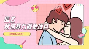 全网首发,揭秘超冷门匿名短信项目,通过信息差日入几百+【揭秘】-创客云联盟