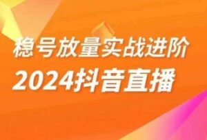 稳号放量实战进阶—2024抖音直播,直播间精细化运营的几大步骤-创客云联盟