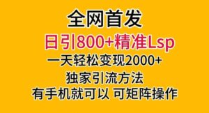 全网首发！日引800+精准老色批，一天变现2000+，独家引流方法，可矩阵操作【揭秘】-创客云联盟