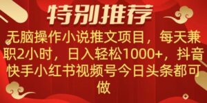 无脑操作【小说推文项目】，兼职每天两小时，日入轻松1000+，抖音快手视频号小红湖中视频都可做【揭秘】-创客云联盟