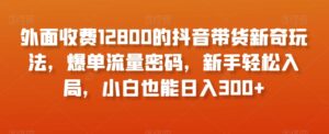 外面收费12800的抖音带货新奇玩法，爆单流量密码，新手轻松入局，小白也能日入300+【揭秘】-创客云联盟