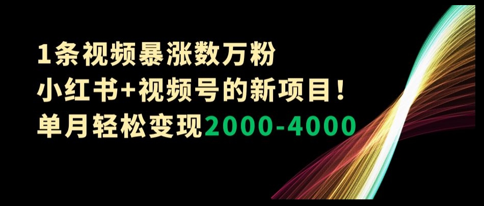 1条视频暴涨数万粉–小红书+视频号的新项目！单月轻松变现2000-4000【揭秘】-创客云联盟