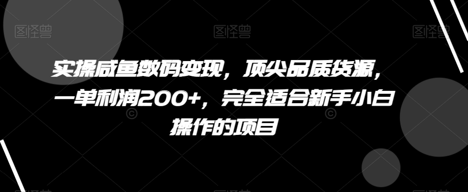 实操咸鱼数码变现，顶尖品质货源，一单利润200+，完全适合新手小白操作的项目【揭秘】-创客云联盟