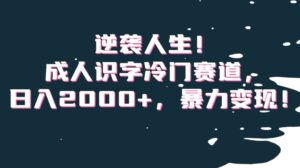 逆袭人生！成人识字冷门赛道，日入2000+，暴力变现！【揭秘】-创客云联盟