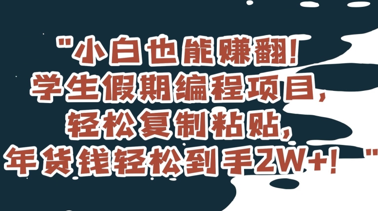 小白也能赚翻！学生假期编程项目，轻松复制粘贴，年货钱轻松到手2W+【揭秘】-创客云联盟